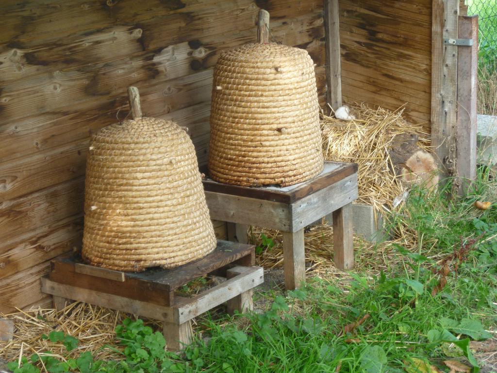 Chambre D'Hotes Au Fil De L'Eau Jumièges Kültér fotó